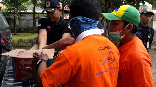 Scorpion Assists SPORC in Confiscation of Protected Birds in Jakarta (October 20, 2016)